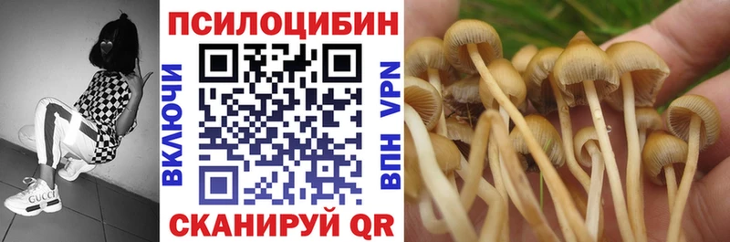 блэк спрут ссылка  Неман  Псилоцибиновые грибы Cubensis 